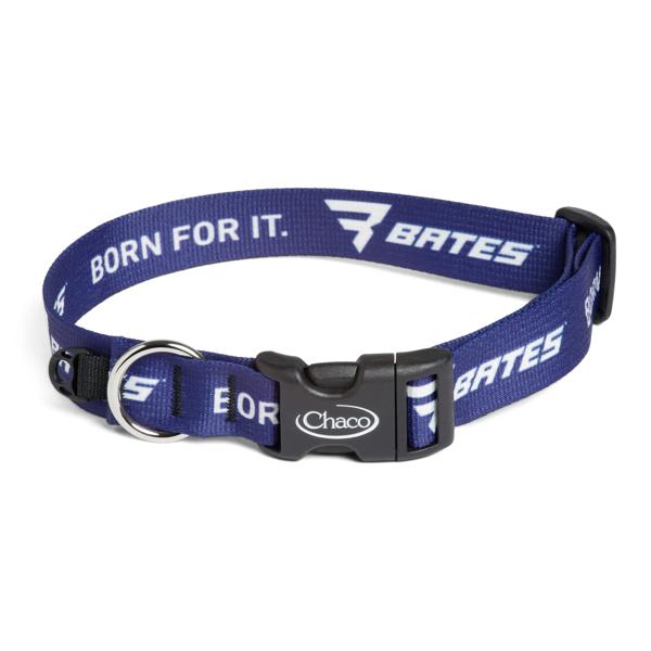 Bates Dog Collar, Born For It, dynamic