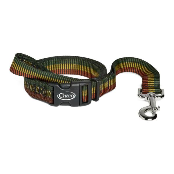 Chaco x Bob Marley Dog Leash, Harmony Hues, dynamic