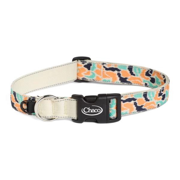 Dog Collars, Mango Tango, dynamic