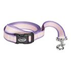Dog Leash - Overcoming the Odds, Overcoming the Odds, dynamic 1
