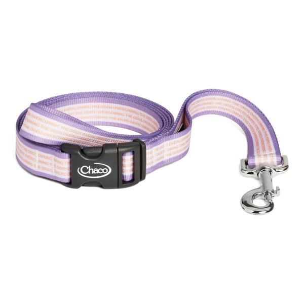 Dog Leash - Overcoming the Odds, Overcoming the Odds, dynamic