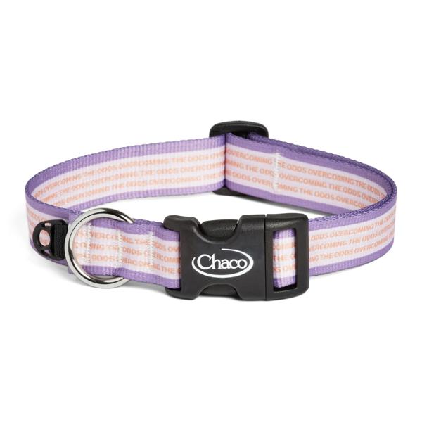 Dog Collar - Overcoming the Odds, Overcoming the Odds, dynamic