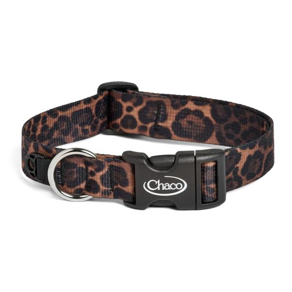 Dog Collars, Brown Leopard, dynamic