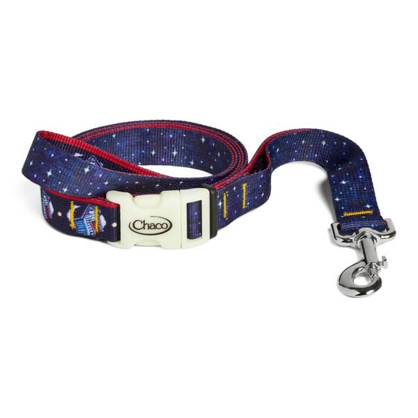 Chaco x Billy Strings Dog Leash, Billy Strings - Stars, dynamic