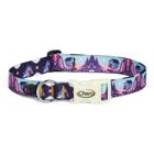 Chaco x Billy Strings Dog Collar, Billy Strings - House, dynamic 1