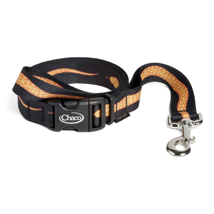 Chaco Creek Rat Dog Leash, Corn Snake, dynamic
