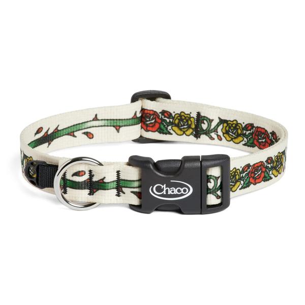 Chaco x Inked Traveler Dog Collar, Roses, dynamic