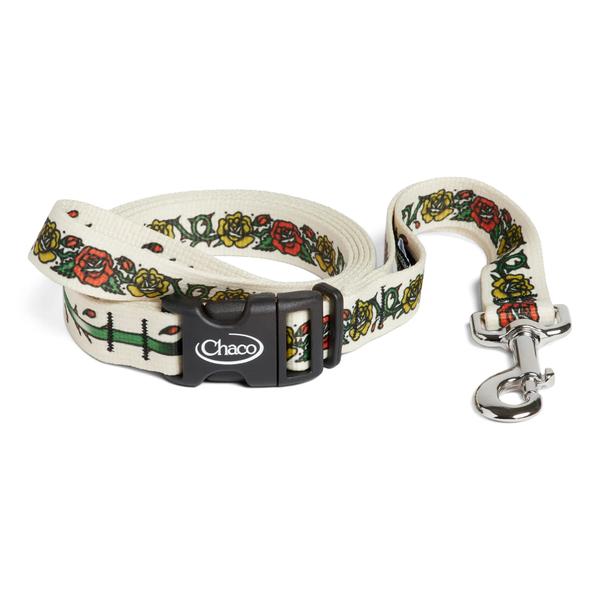 Chaco x Inked Traveler Dog Leash, Roses, dynamic