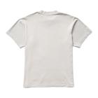 Public Lands Tee, Pigment Lunar Rock, dynamic 2