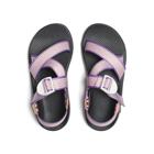 Mega Z Classic - Overcoming the Odds, Overcoming the Odds, dynamic 5