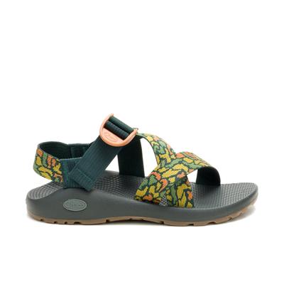 Hiking Sandals & Accessories | Chaco display picture 1