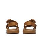 Mega Z/1 Wide-Strap Classic Sandal, Cabin, dynamic 4