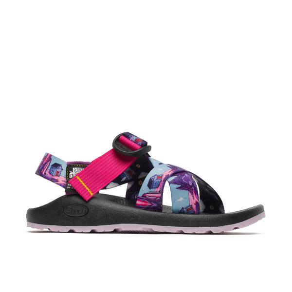 Chaco x Billy Strings Mega Z Sandal, Billy Strings - House, dynamic
