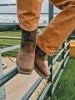 Colorado Frontier Steel Toe Boot, Chicory Coffee, dynamic 2