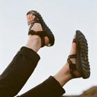 Z/1 Rapid Pro Adjustable Strap Classic Sandal, Eddy Forest, dynamic 2