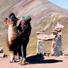 Ontario Mid Waterproof, Raisin, dynamic 7