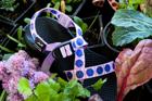 Z/1 Classic Sandal - Limited Edition, Bloob, dynamic 2