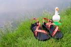 Z/1 Classic Sandal - Limited Edition, Red Silly Goose, dynamic 2