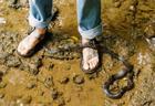 Chaco x Creek Rat Z/1 Classic Sandal, Creek Camo, dynamic 6