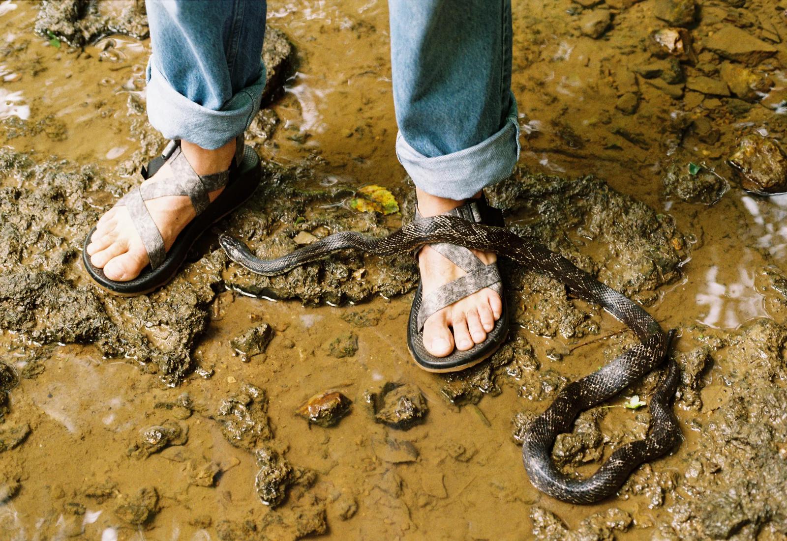 Chaco Men's Chaco x Creek Rat Z/1 Classic Sandal GLOBAL SHIPPING