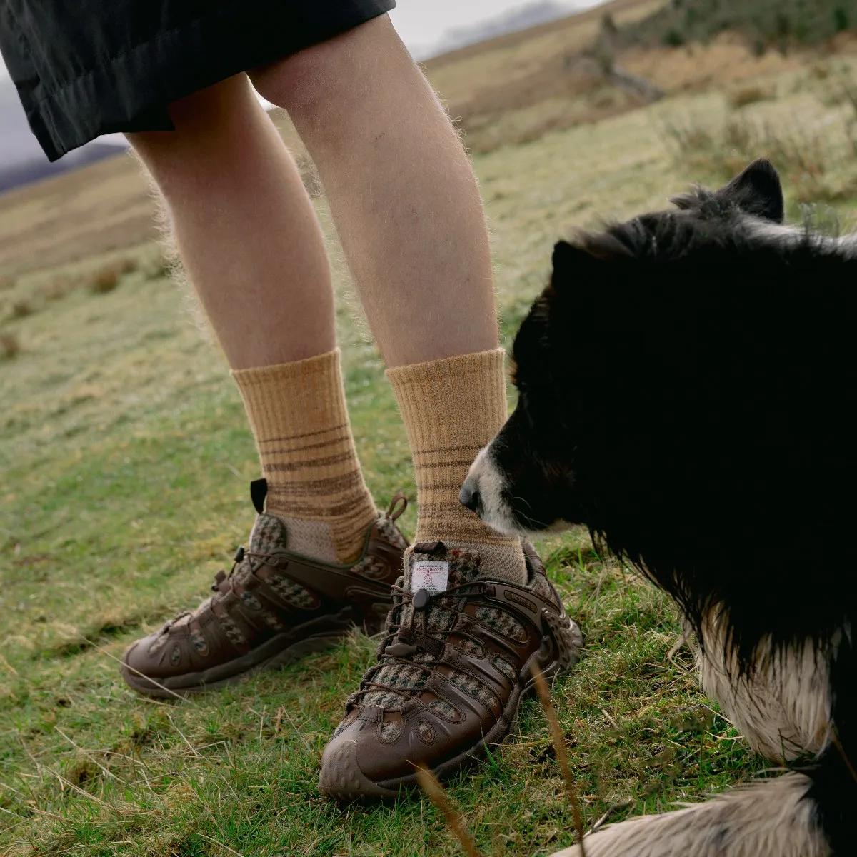Кроссовки Merrell Cham Redux X Harris Tweed, цвет: Тёмный орех — фото 6
