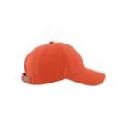 Powell Core Cap, Ember, dynamic 2