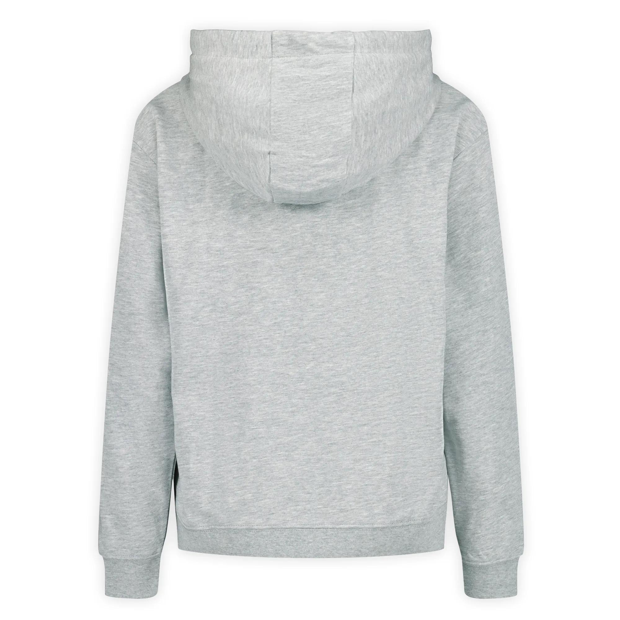 Await Adventure Semi-Cropped Graphic Hoody, Grey Mix, dynamic 2