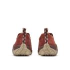 Jungle Moc, Sequoia, dynamic 4