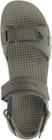Cedrus Convertible 3, Boulder, dynamic 8