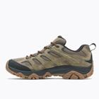 Moab 3 Waterproof, Olive/Gum, dynamic 3