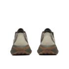 Morphlite, Diorite, dynamic 4