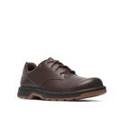 World Legend 2 Remat, Dark Brown, dynamic 2