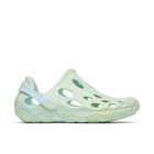 Hydro Moc, Belize, dynamic 1