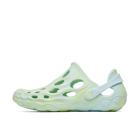 Hydro Moc, Belize, dynamic 5