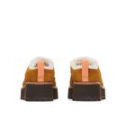 Sugarloaf Mule Cozy, Maple, dynamic 4