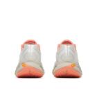 ProMorph, Edgecomb, dynamic 4