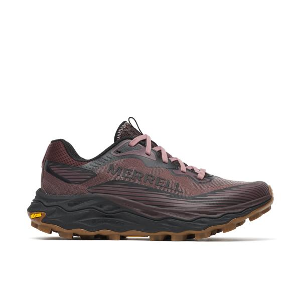 Agility Peak 6, Ninebark, dynamic