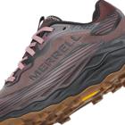 Agility Peak 6, Ninebark, dynamic 5