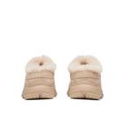 Encore Ice 5, Hazel, dynamic 4