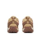 Accentor 3, Tan Rose, dynamic 4