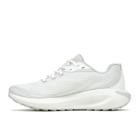 Morphlite, Chalk/Moonbeam, dynamic 5