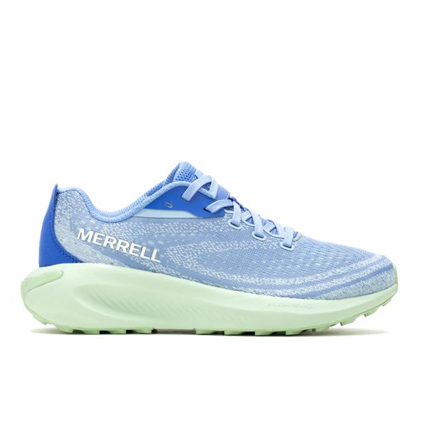 Morphlite, Cornflower/Pear, dynamic