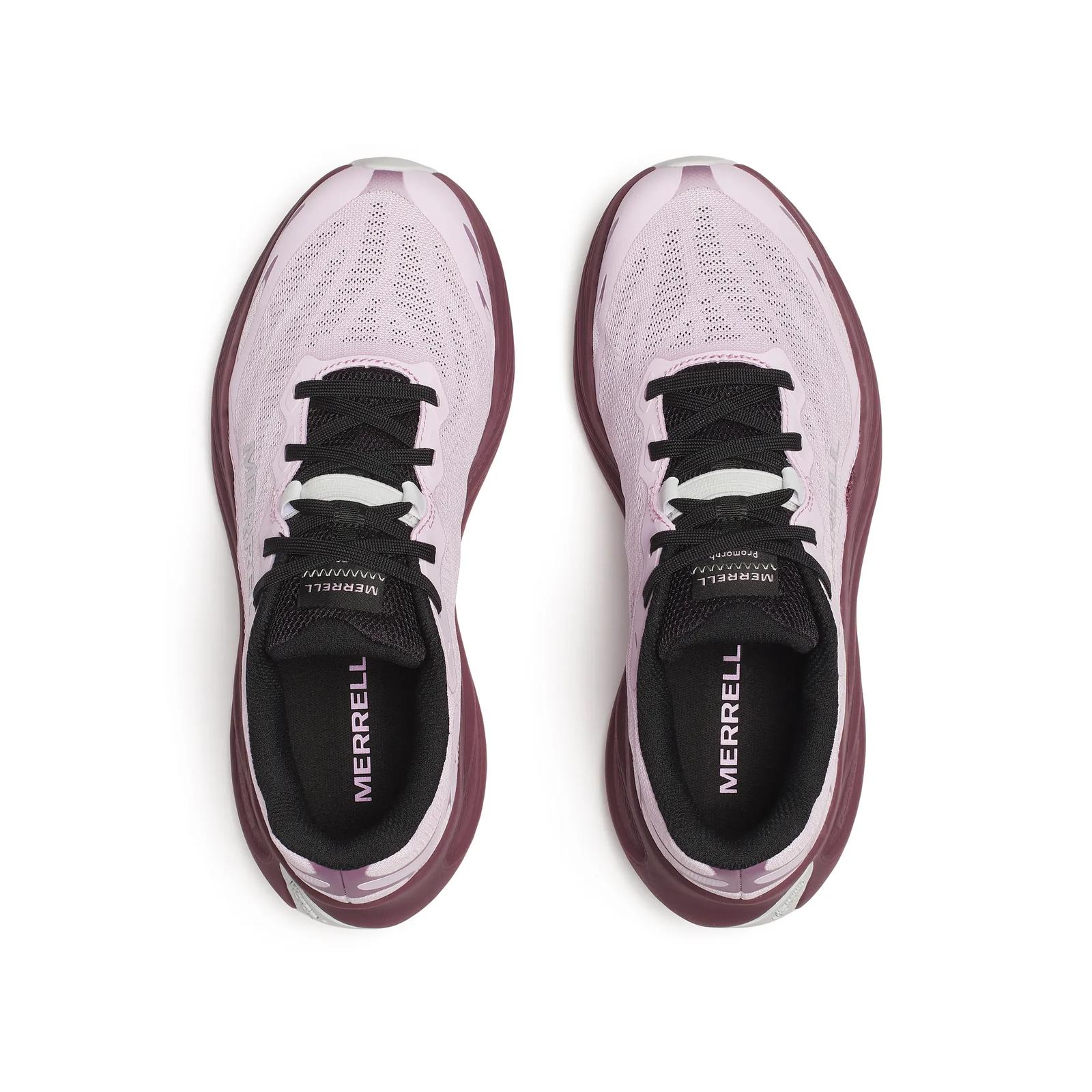 Women's ProMorph