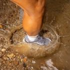 Agility Peak 6 GORE-TEX&reg;, Lost Lilac, dynamic 8