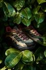 Moab Speed 2 GORE-TEX&reg; x Sweaty Betty, Bracken Green, dynamic 5