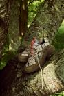 Moab Speed 2 GORE-TEX&reg; x Sweaty Betty, Utility Brown, dynamic 5