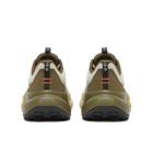 Xodus Ultra 4, Eggshell | Field, dynamic 4
