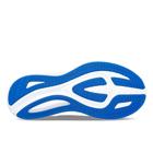 Omni 22, Orchid | Cobalt, dynamic 6