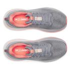Guide 18, Flint | Salmon, dynamic 5