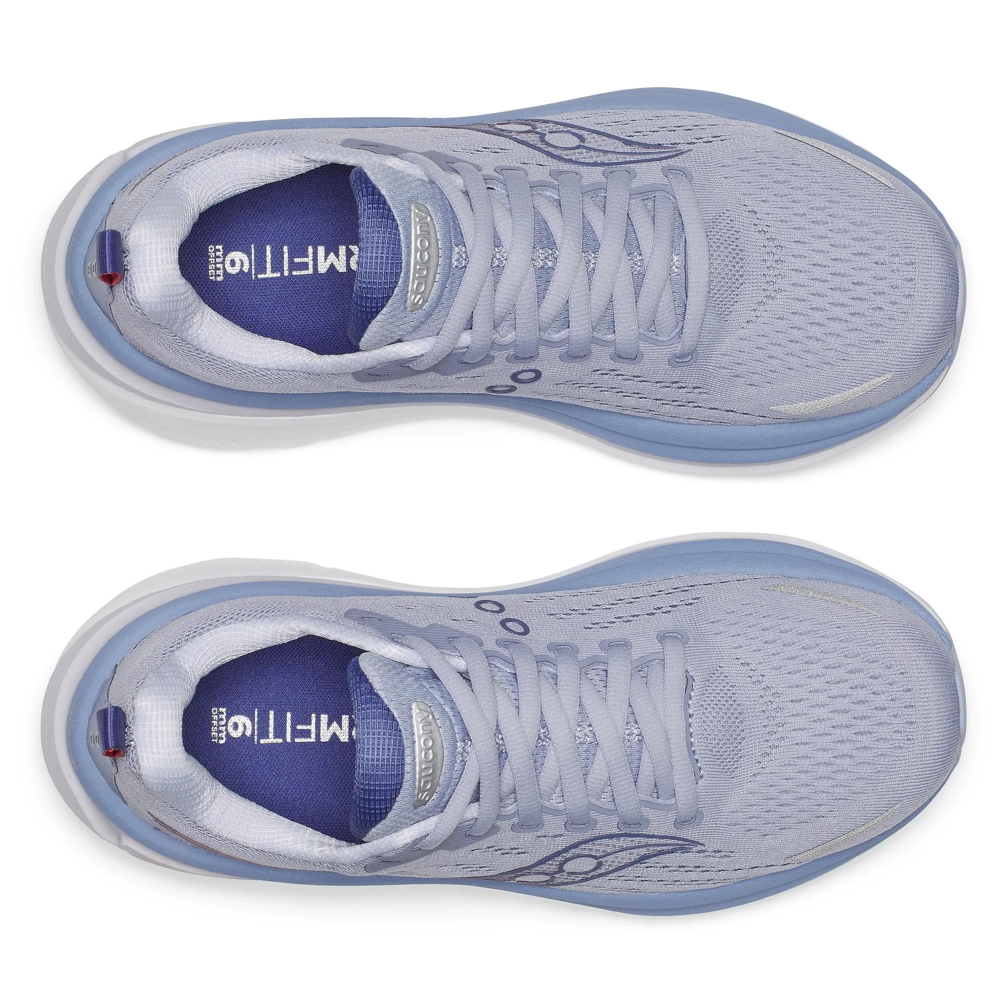 Hurricane 25, Thistle | Aster, dynamic 5